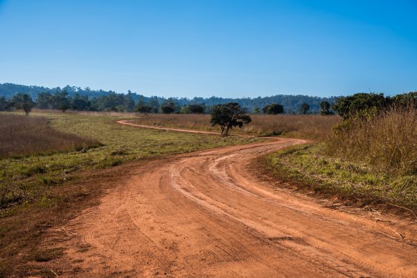 Dirt Driveway Repair in Longmont