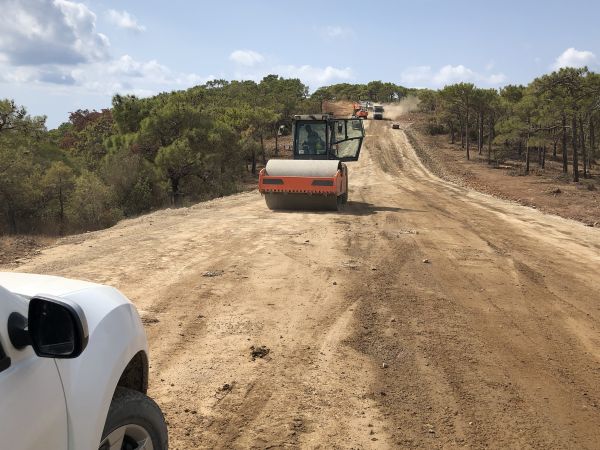 Cost of Driveway Grading in Longmont