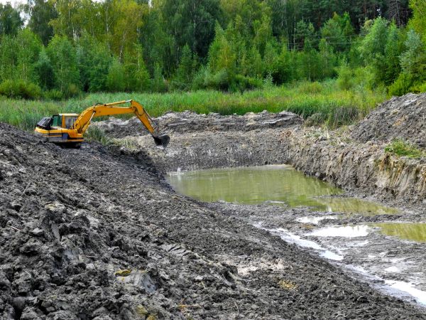 Cost of Fish Pond Digging in Longmont