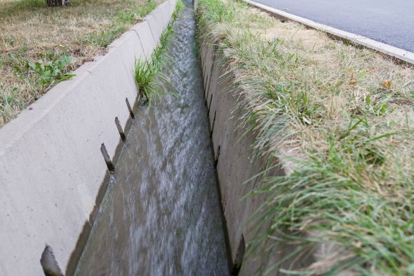 Cost of Ditching Service in Longmont