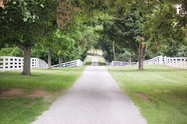 Gravel Driveway Construction in Longmont